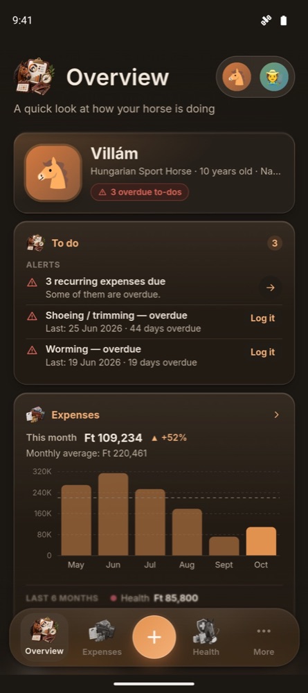 Horsemate overview with to-dos and expenses